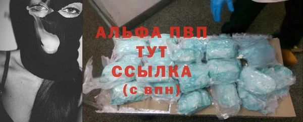 трава Белокуриха