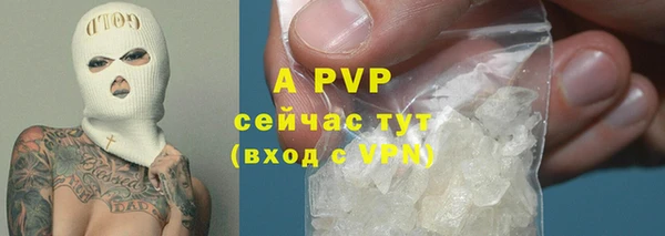 трава Белокуриха