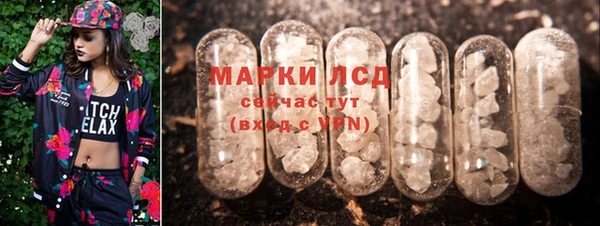 трава Белокуриха