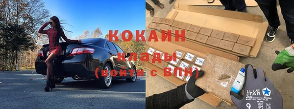 трава Белокуриха